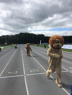 the Lions race