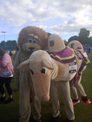 Colin the world-record, marathon-running camel