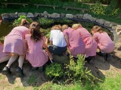 children at their newly restored and much loved pond