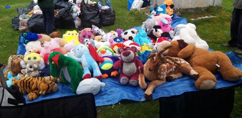 a selection of soft toys looking for a new home